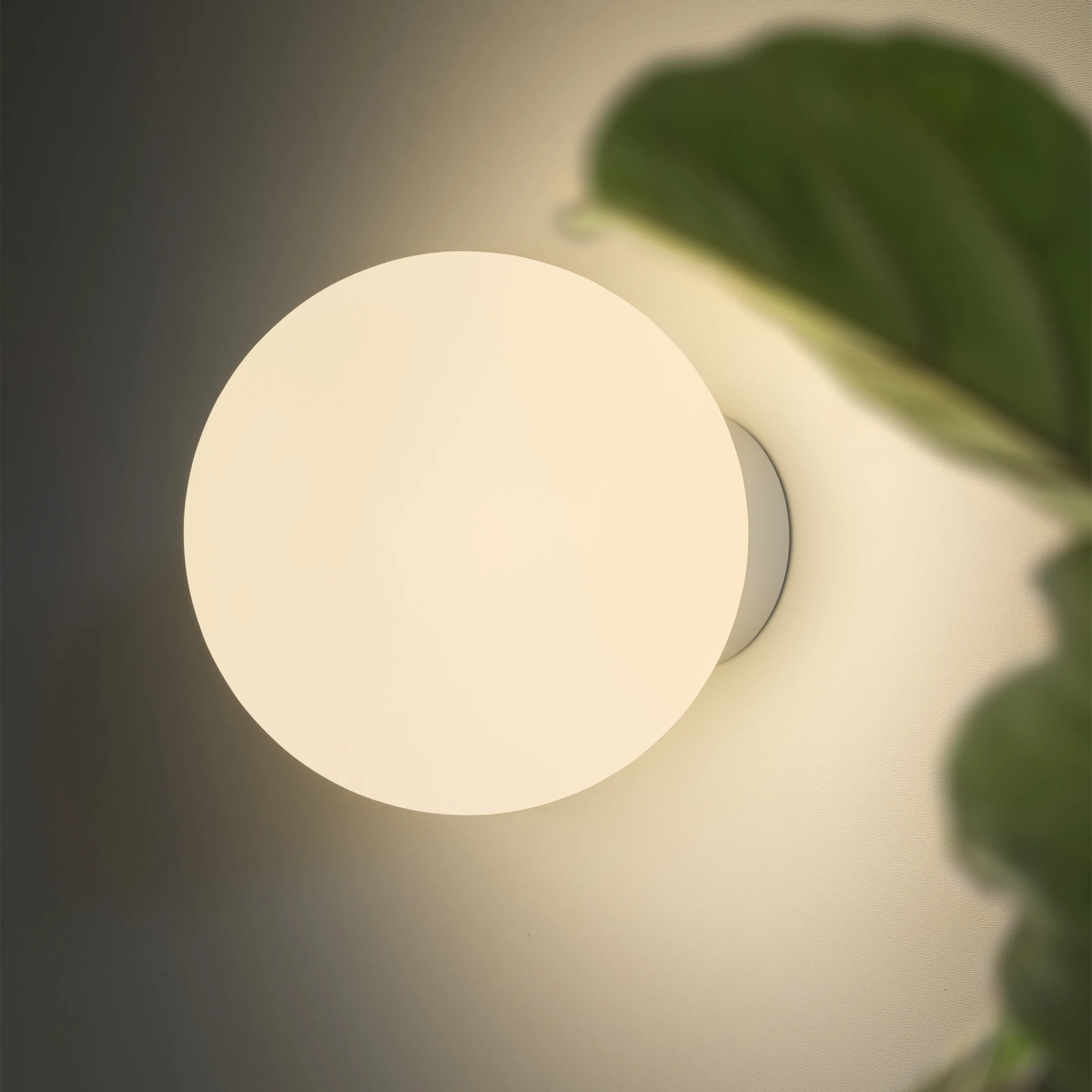 Mapa AP1 by Ideal Lux, installed