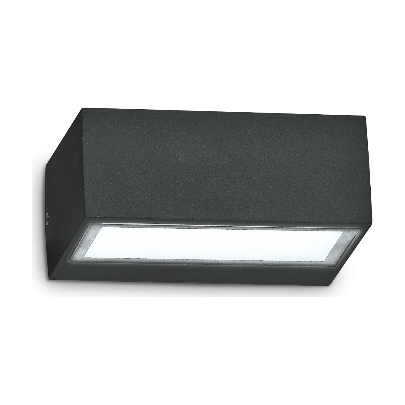 Twin AP1 Black by Ideal Lux, product photo