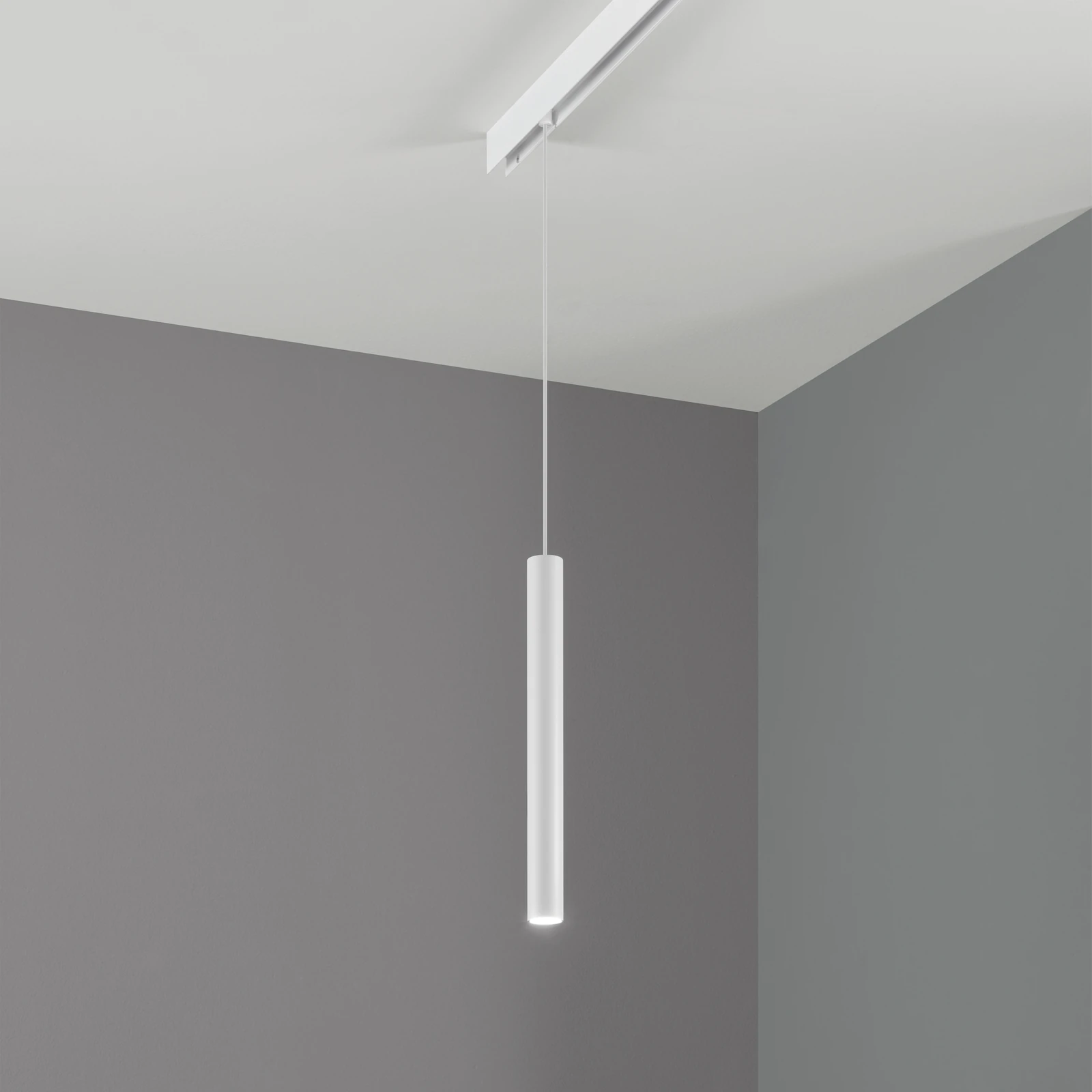 Ego Pendant Tube 5.5W 3000K DALI Bk installed in an interior